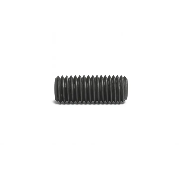 2 Vis sans six pans creux STHC DIN 916 Bout cuvette Acier 45H brut. vue