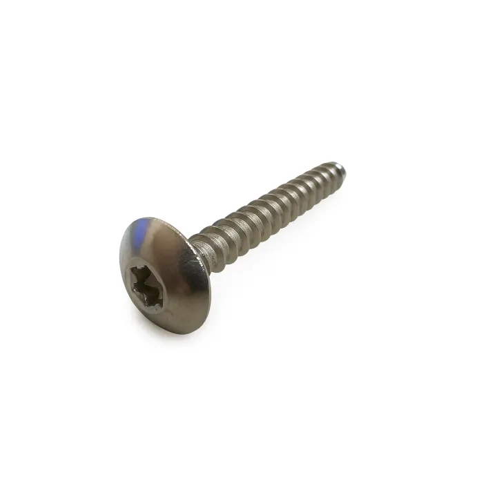 1 Vis bois cylindrique large pour pentures empreinte 6 lobes vue