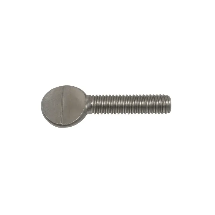 1 Vis violon Inox A2. vue .