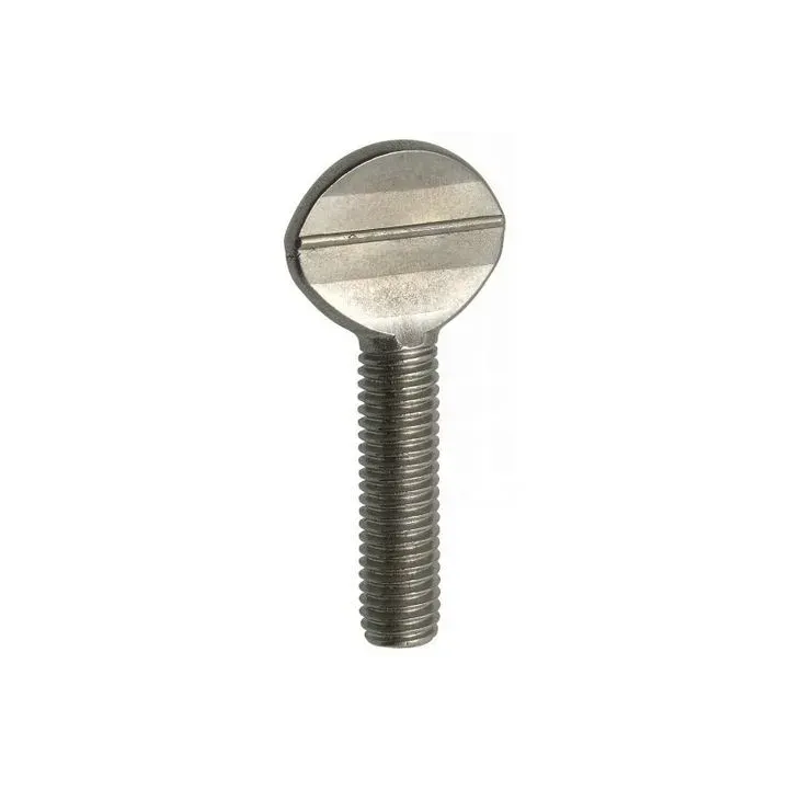 2 Vis violon Inox A2. vue