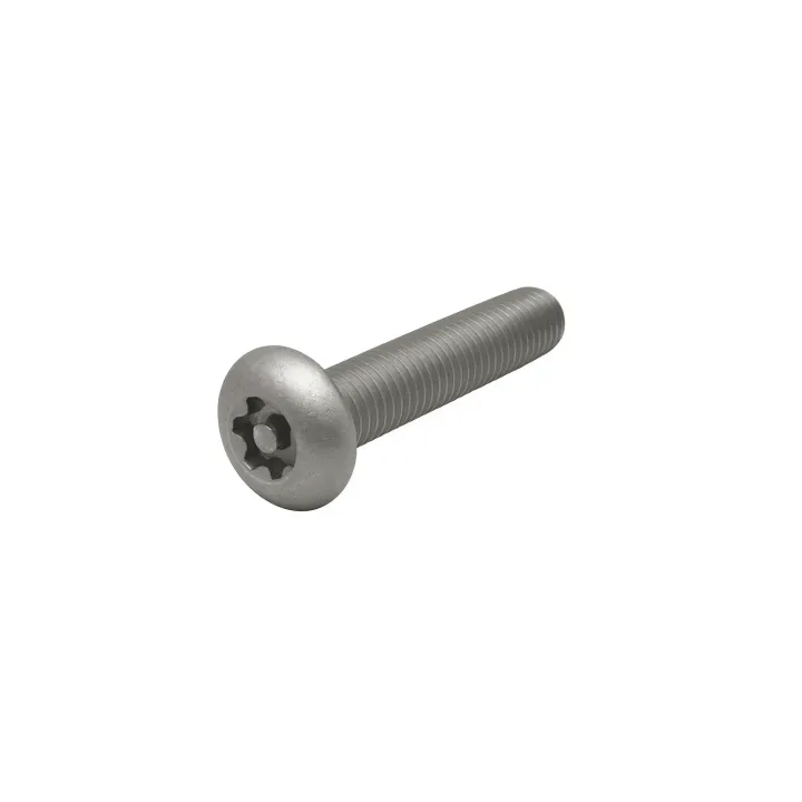 1 Vis metaux inviolables bombee 6 lobes+teton Inox A2 vue