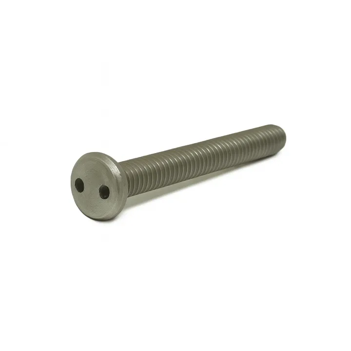 1 Vis metaux inviolables cylindrique Snake eye Inox A2 vue