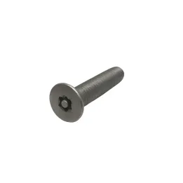 1 Vis metaux inviolables fraisee 6 lobes+teton Inox A2 vue