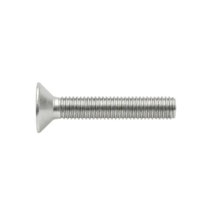 2 Vis metaux inviolables fraisee 6 pans creux+teton Inox A2 vue