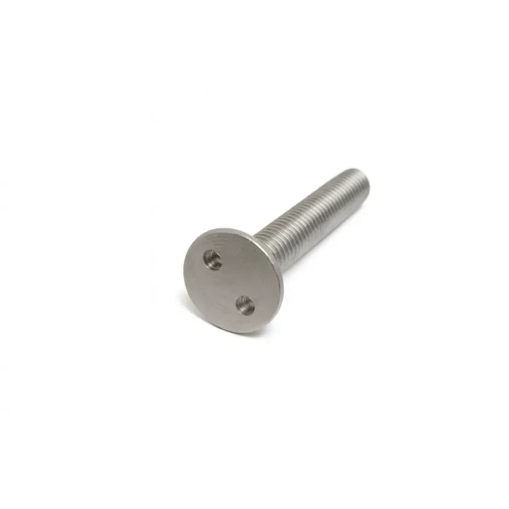 1 Vis metaux inviolables fraisee Snake eye Inox A2 vue