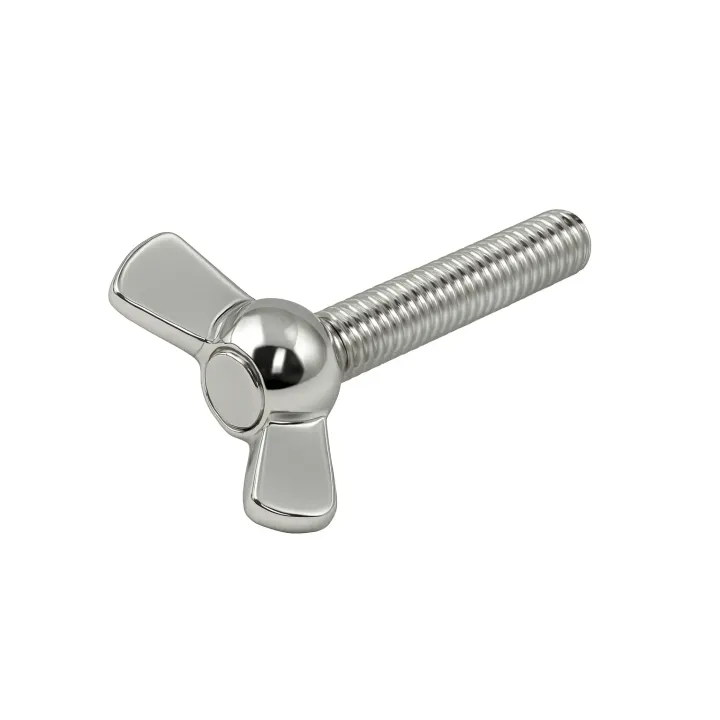 2 Vis oreilles Forme americaine DIN 316 Inox A2. vue