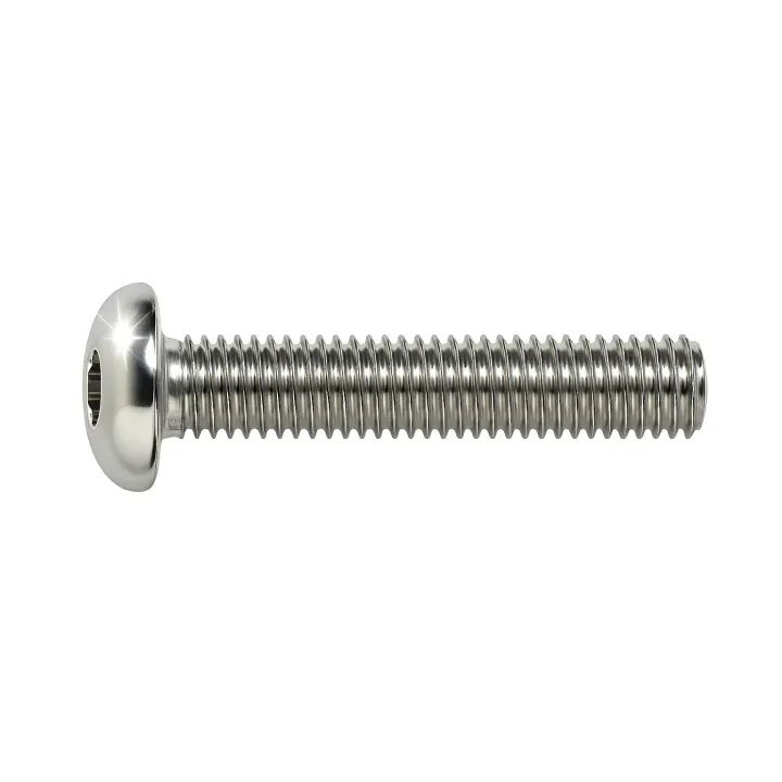 2 Vis bombee six pans creux BHC ISO 7380 Inox A2 vue