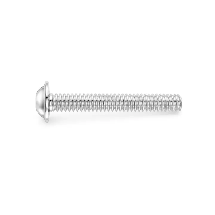 2 Vis bombee six pans creux a embase BHC L Inox A2 vue
