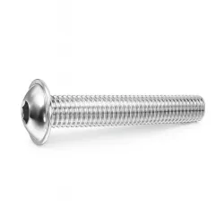 10 VIS TBHC INOX A2 M5 x 30 mm TETE BOMBEE HEXAGONALE CREUSE A EMBASE