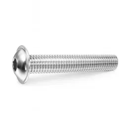 1 Vis bombee six pans creux a embase BHC L Inox A2 vue