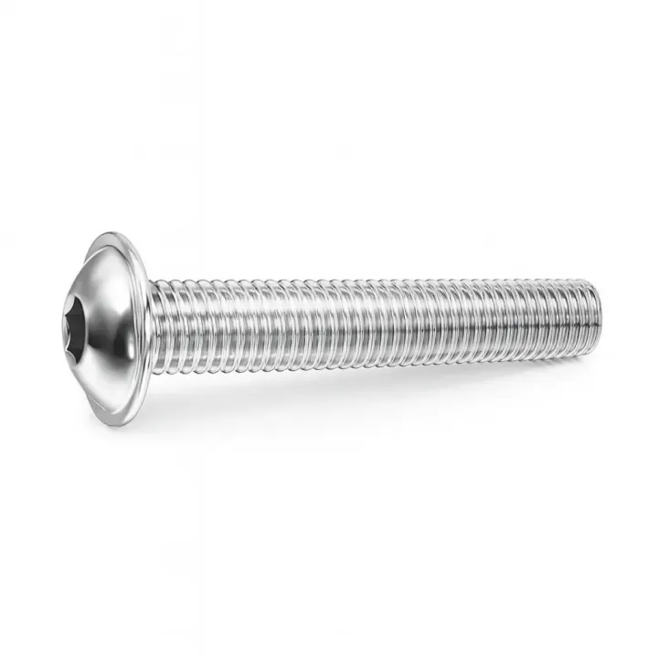 1 Vis bombee six pans creux a embase BHC L Inox A2 vue
