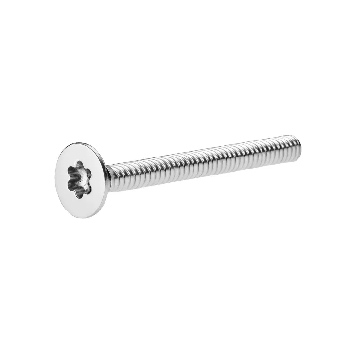 1 Vis fraisee 6 lobes DIN 965 Inox A2 vue