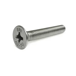 1 Vis fraisee Phillips DIN 965 Inox A2 vue