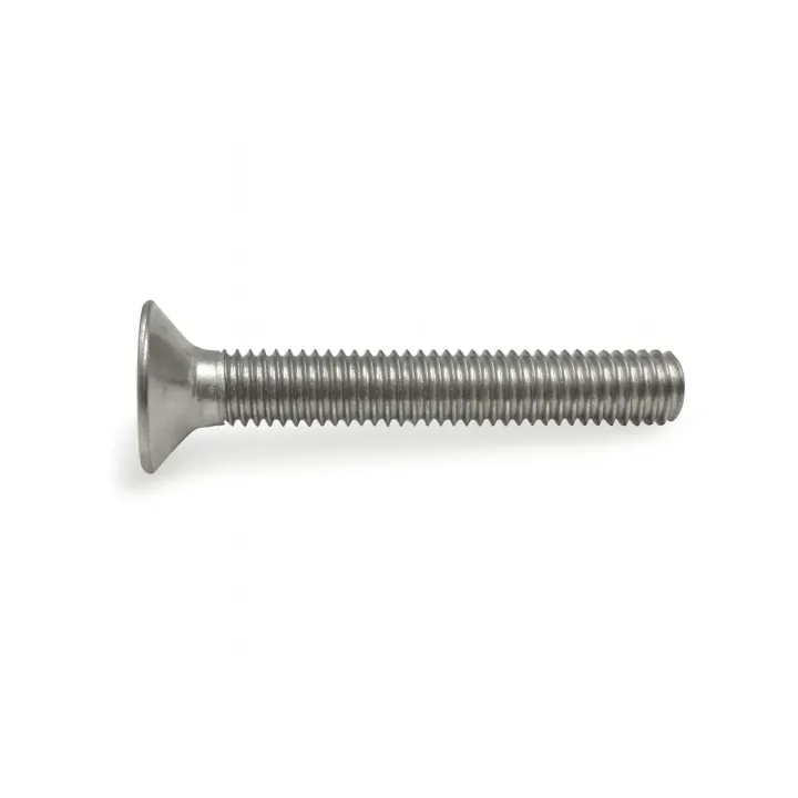 2 Vis fraisee Phillips DIN 965 Inox A2 vue