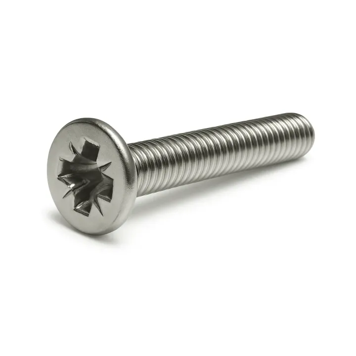 1 Vis fraisee Pozidrive DIN 965 Inox A2 vue