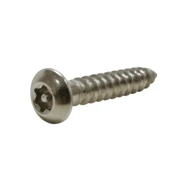1 Vis tole inviolables bombee 6 lobes+teton Inox A2 vue