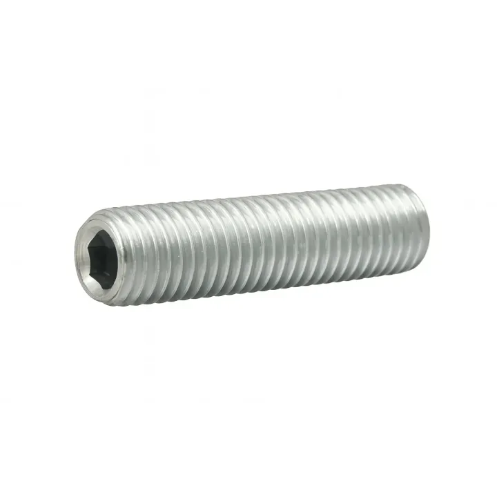 1 Vis sans six pans creux STHC DIN 913 Bout plat Inox A2. vue