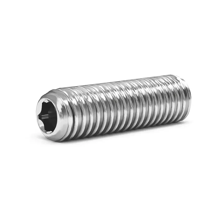 1 Vis sans six pans creux STHC DIN 916 Bout cuvette Inox A2. vue