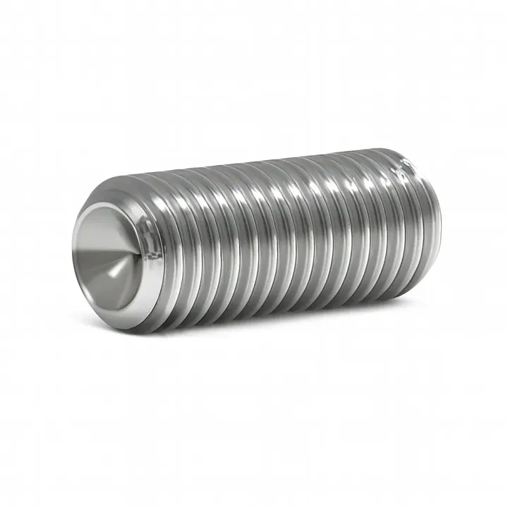 3 Vis sans six pans creux STHC DIN 916 Bout cuvette Inox A2. vue