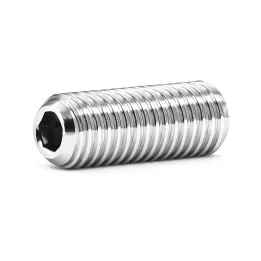 1 Vis sans six pans creux STHC DIN 916 Bout cuvette Inox A4. vue