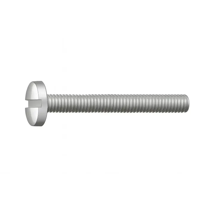 2 Vis cylindrique fendue DIN 84 Inox A2 vue