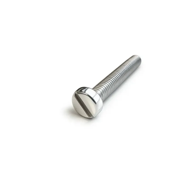 1 Vis cylindrique fendue DIN 84 Inox A4 vue