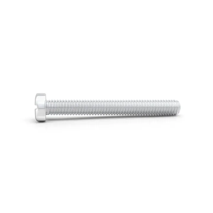 2 Vis cylindrique fendue DIN 84 Inox A4 vue