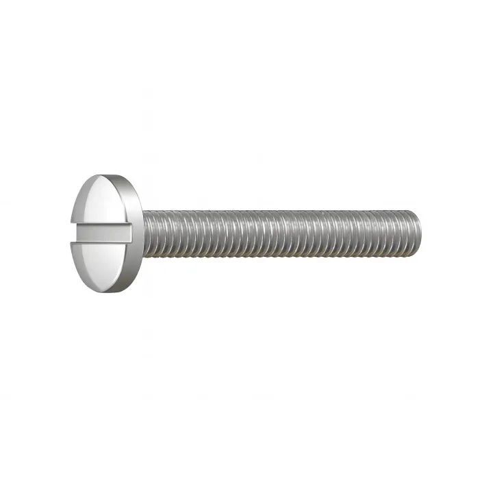 1 Vis cylindrique fendue DIN 84 Inox A2 vue