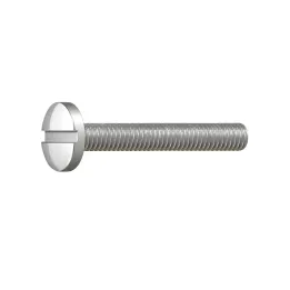 1 Vis cylindrique fendue DIN 84 Inox A2 vue