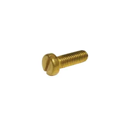 1 Vis cylindrique fendue DIN 84 Laiton. vue