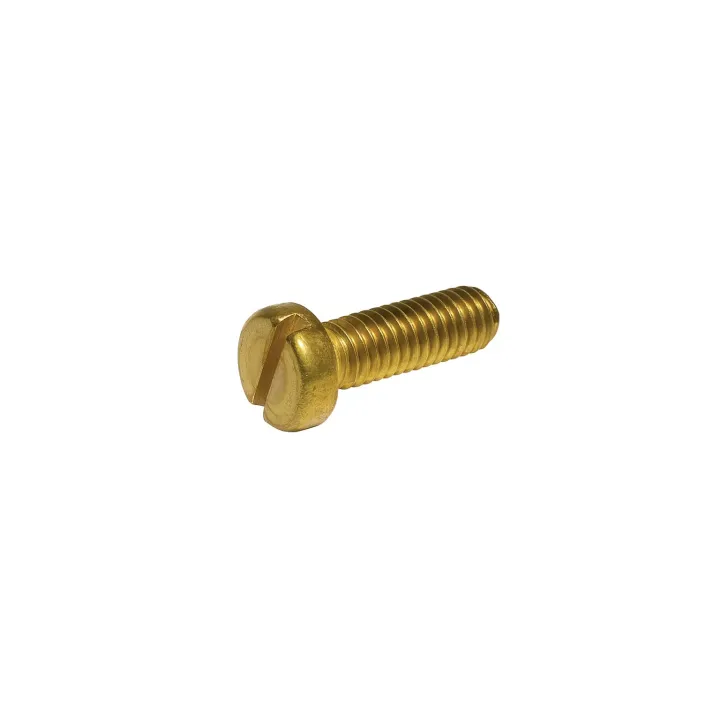 1 Vis cylindrique fendue DIN 84 Laiton. vue