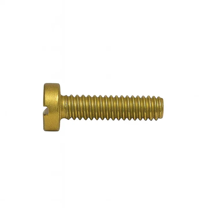 2 Vis cylindrique fendue DIN 84 Laiton. vue