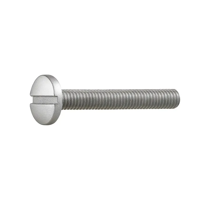 1 Vis cylindrique fendue DIN 84 Classe 4.6 zingue vue