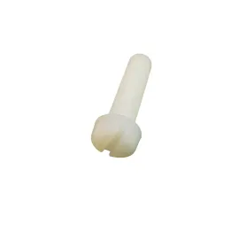 1 Vis cylindrique fendue DIN 84 Nylon. vue
