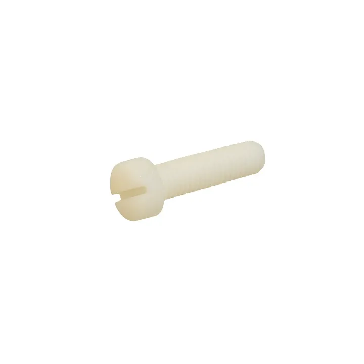 2 Vis cylindrique fendue DIN 84 Nylon. vue