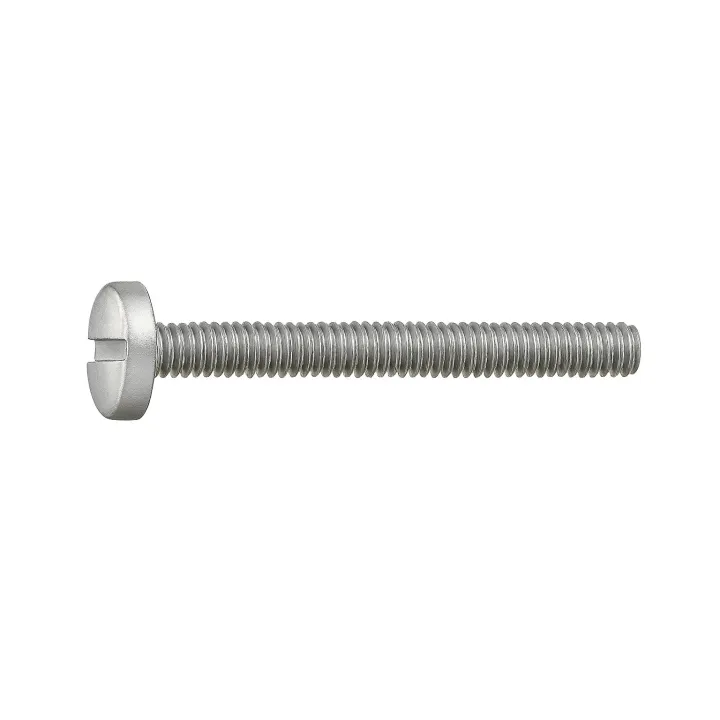 2 Vis cylindrique fendue DIN 84 Classe 4.6 zingue vue