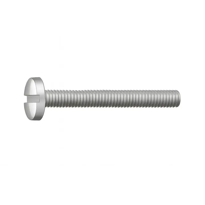 2 Vis cylindrique fendue DIN 84 Inox A2 vue