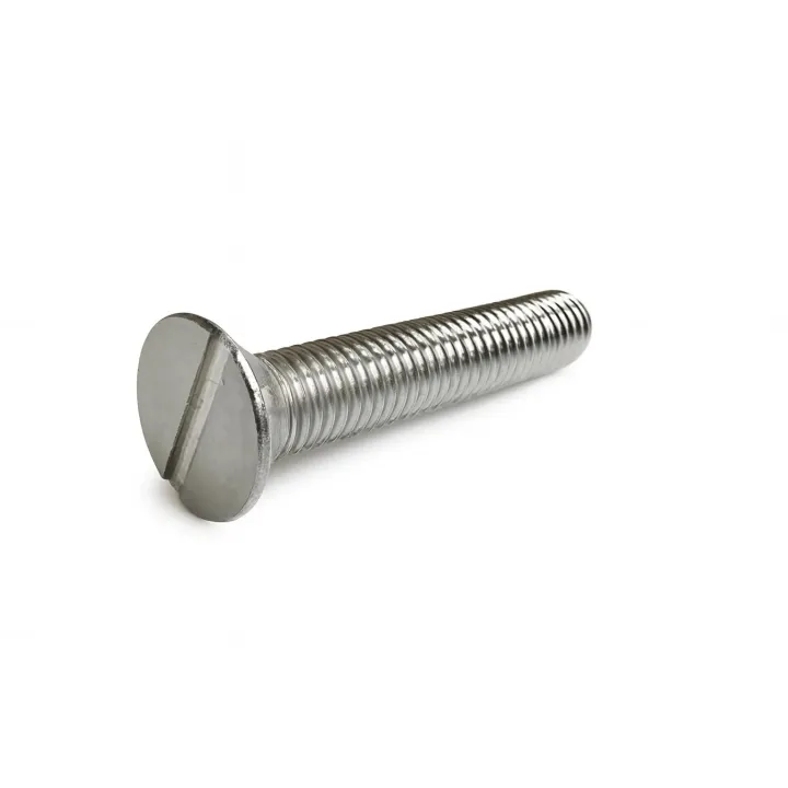 1 Vis fraisee fendue DIN 963 Inox A2 vue