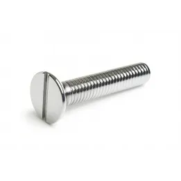 1 Vis fraisee fendue DIN 963 Inox A4 vue