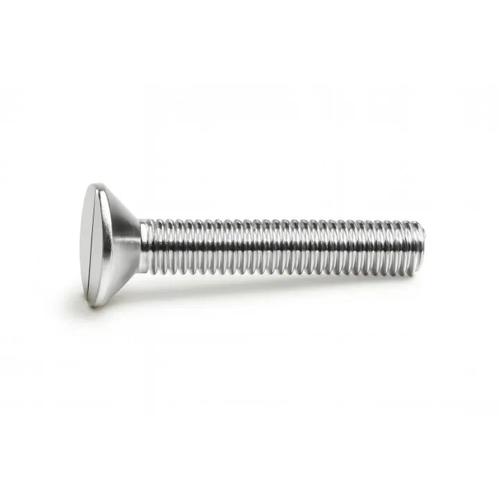 2 Vis fraisee fendue DIN 963 Inox A4 vue