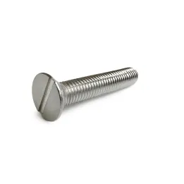 1 Vis fraisee fendue DIN 963 Inox A2 vue