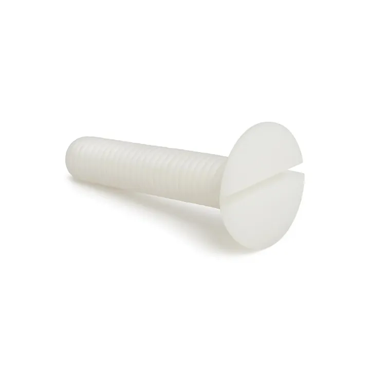 1 Vis fraisee fendue DIN 963 Nylon vue