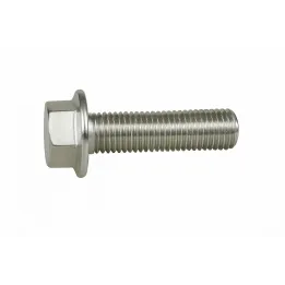 2 Vis hexagonale embase DIN 6921 Classe 8.8 zingue vue