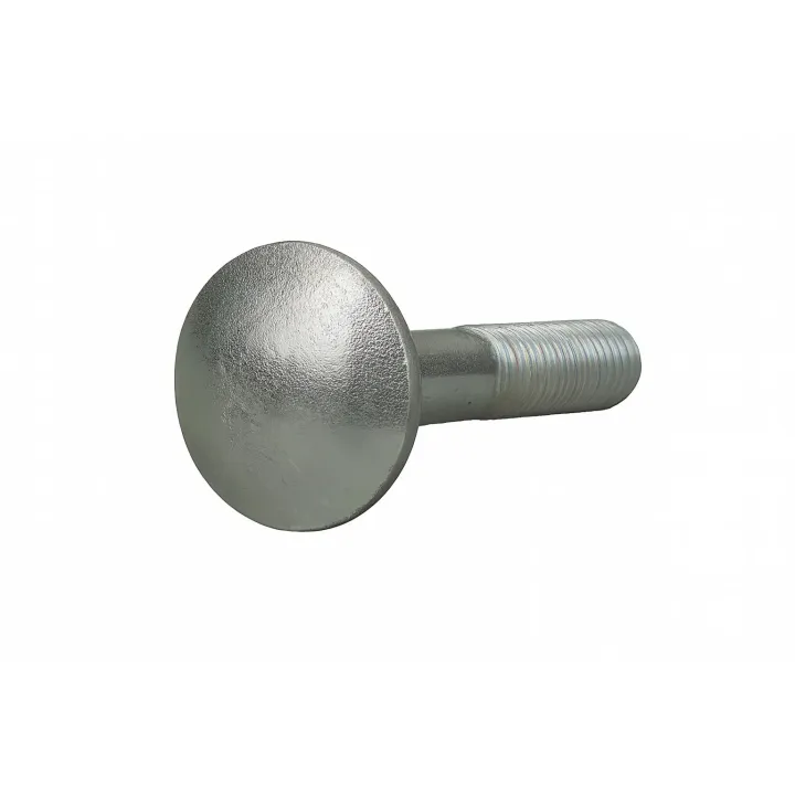 1 Vis ronde collet carre TRCC DIN 603 Inox A4 vue