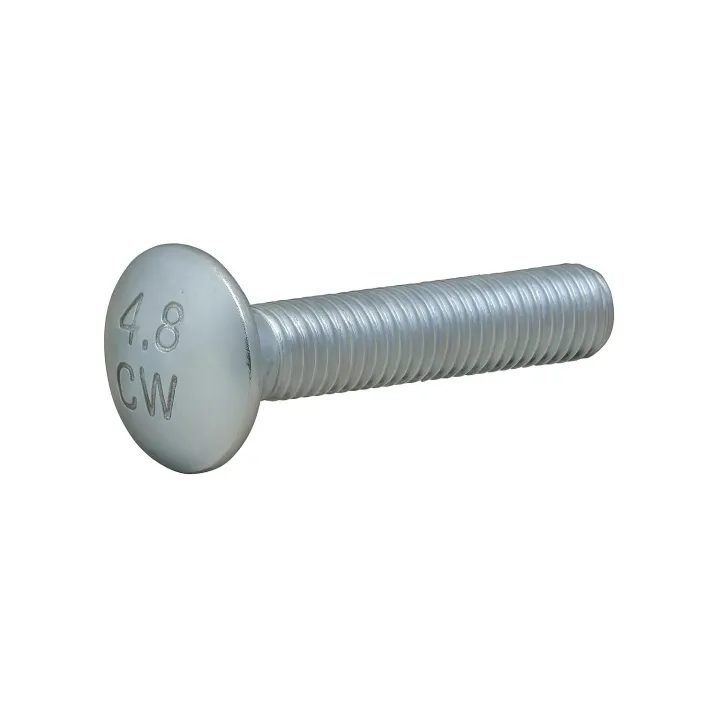 1 Vis ronde collet carre TRCC DIN 603 Classe 8.8 zingue vue