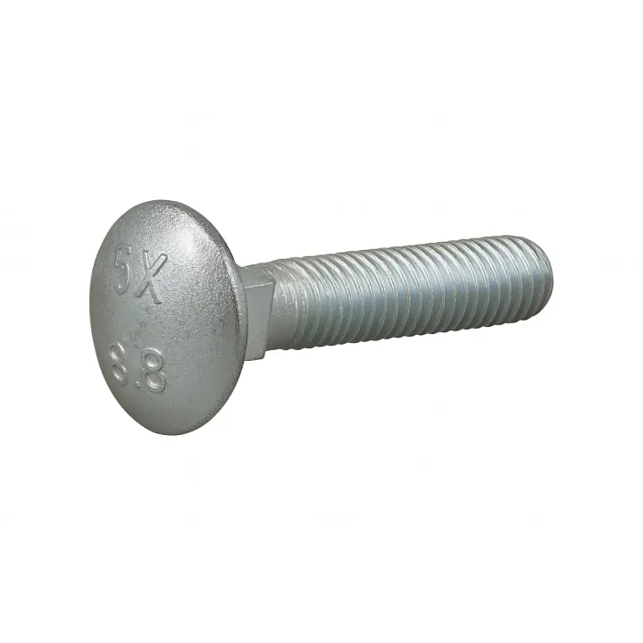 1 Vis ronde collet carre TRCC DIN 603 Inox A2 vue