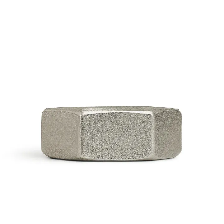 2 ecrou hexagonal bas hm vue