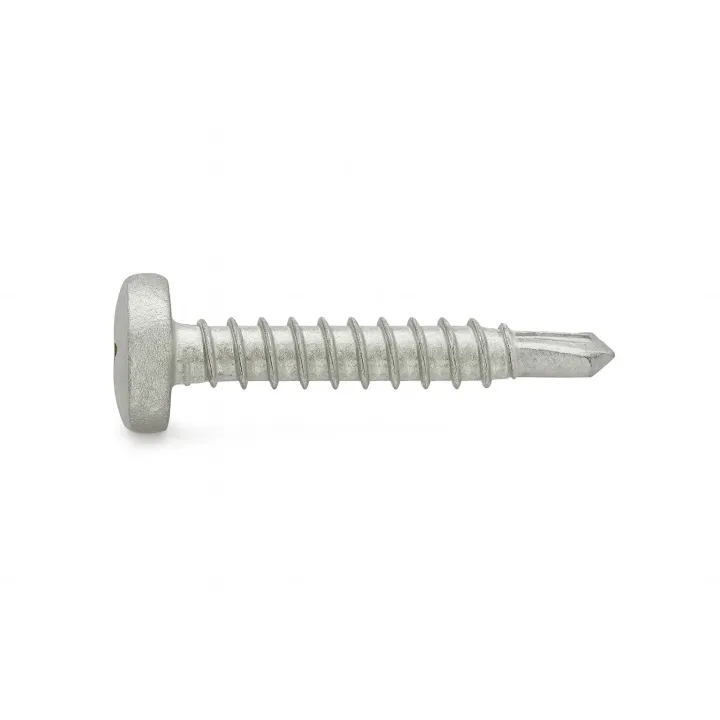 2 Vis auto perceuses cylindrique empreinte Phillips vue