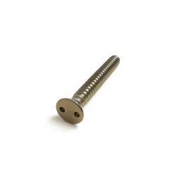 1 Vis tole inviolables fraisee Snake eye Inox A2 vue