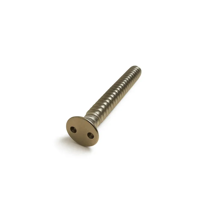 1 Vis tole inviolables fraisee Snake eye Inox A2 vue
